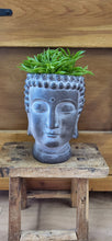 Load image into Gallery viewer, Buddha indoor planter/plant pot