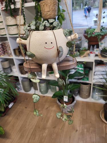 Small Swing hanging pot with string of hearts indoor plant