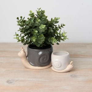 Baby/Mini white snail indoor plant pot/planter 6cm