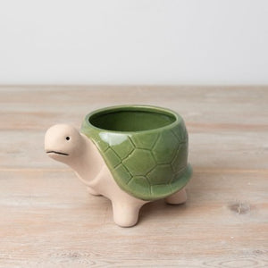 Green tortoise indoor plant pot/planter 9cm
