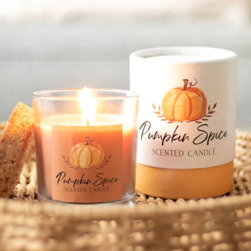 Pumpkin Spice Autumn/Autumnal scented candle in jar