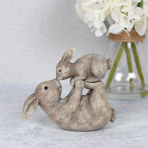 Some Bunny Loves You Ornament Gift