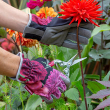 Load image into Gallery viewer, Burgon and Ball  - RHS British Bloom ladies gardening gloves one size