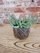 Load image into Gallery viewer, Gold Leaf indoor plant pot/planter on legs 10.5cm