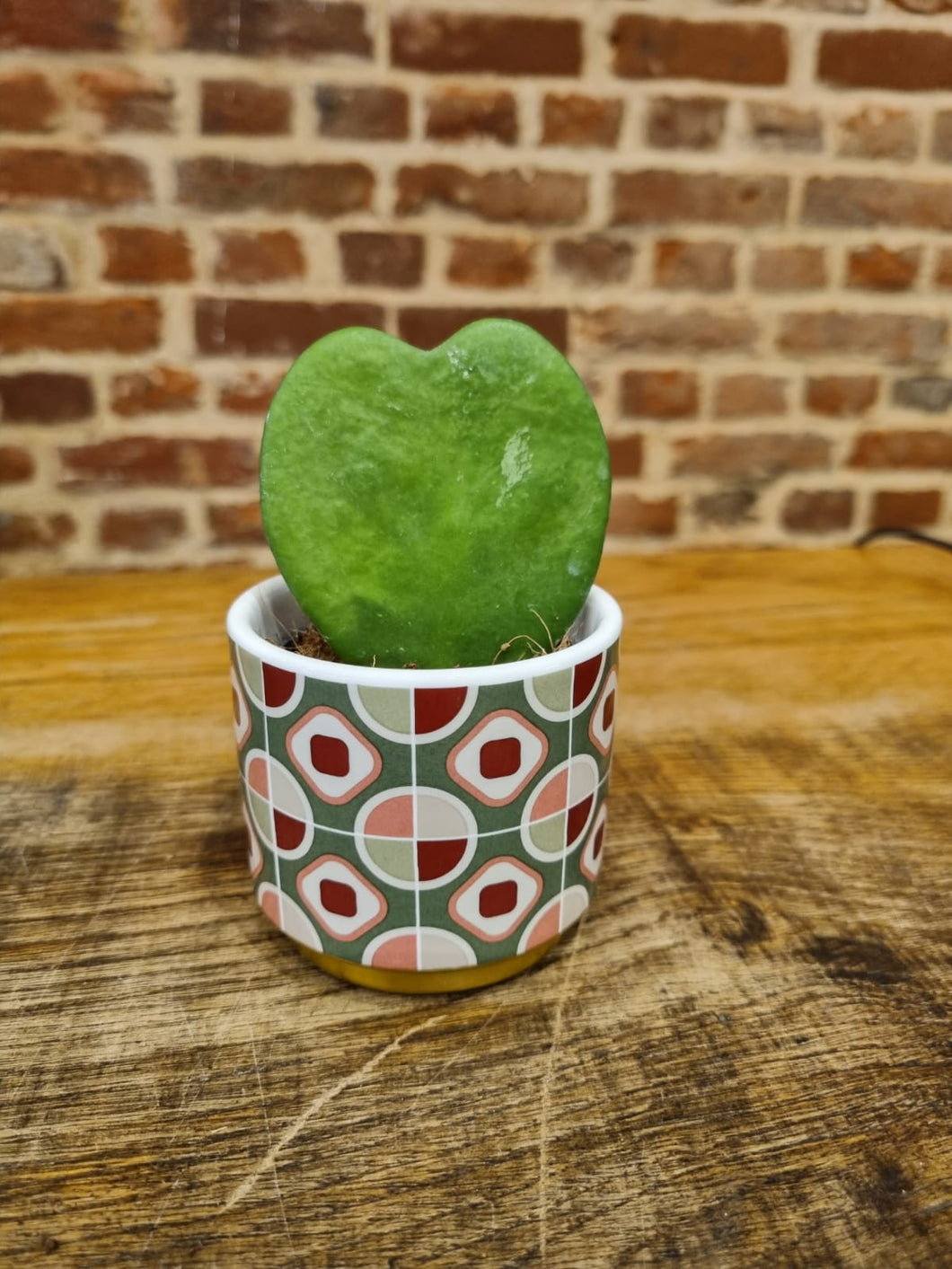 Mini/Baby retro ceramic indoor plant pot/planter - green 6cm