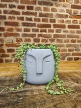 Load image into Gallery viewer, Grey cement face indoor plant pot/planter 8.5cm