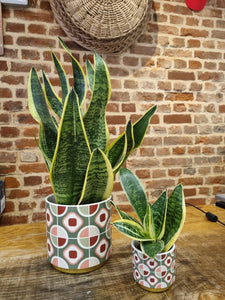 Retro ceramic indoor plant pot/planter - green 12cm