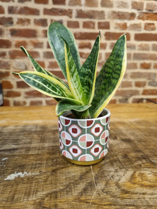 Mini/Baby retro ceramic indoor plant pot/planter - green 6cm