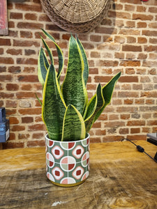 Retro ceramic indoor plant pot/planter - green 12cm