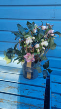 Load image into Gallery viewer, Helleborus/Hellebore evergreen perennial - &#39;Rose De Noel&#39; Oriental Pink