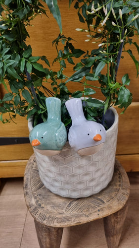 Ceramic bird plant pot hanger - available in white or green/blue
