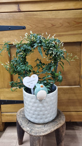Ceramic bird plant pot hanger - available in white or green/blue