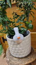 Load image into Gallery viewer, Ceramic bird plant pot hanger - available in white or green/blue