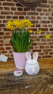 Ceramic Easter bunny rabbit Wax Melt Warmer/Burner