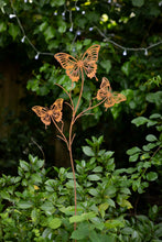 Load image into Gallery viewer, Triple Butterfly metal garden feature *CLICK AND COLLECT ONLY*