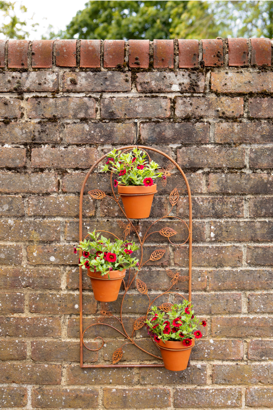 Bee metal wall mountable garden plant pot holder/display/shelf - pots included