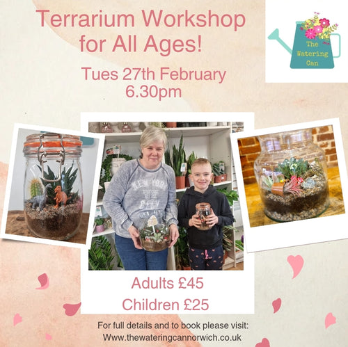 Children & Adults Terrarium  Workshop - Tuesday 27th February 6.30pm