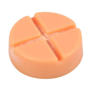 Spiced pumpkin soy wax melt snap disc - Autumn home fragrance