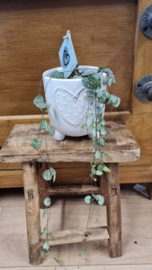 Ceramic heart indoor planter/plant pot 13cm available in pink or white
