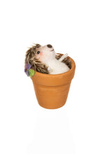 Load image into Gallery viewer, Hedgepig/Hedgehog in pot - Spring/Easter decoration