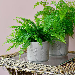 Burgon and Ball Provence Grey indoor plant pot/planter