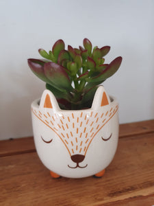 Sass and Belle Mini Woodland Fox Plant Pot