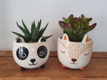 Load image into Gallery viewer, Sass and Belle Mini Woodland Fox Plant Pot