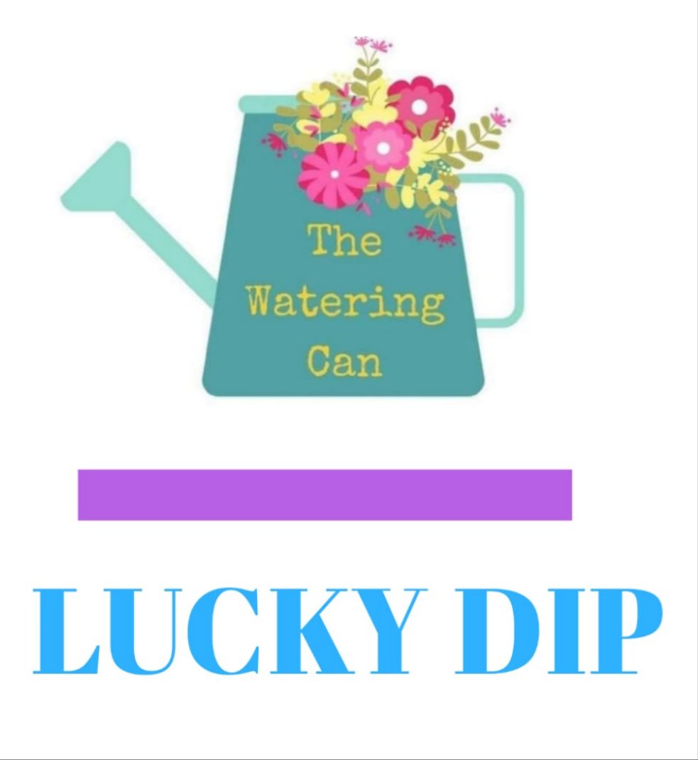 Children's lucky dip or Party Bag Favour - Boys