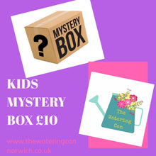 Load image into Gallery viewer, Kids Mystery Box