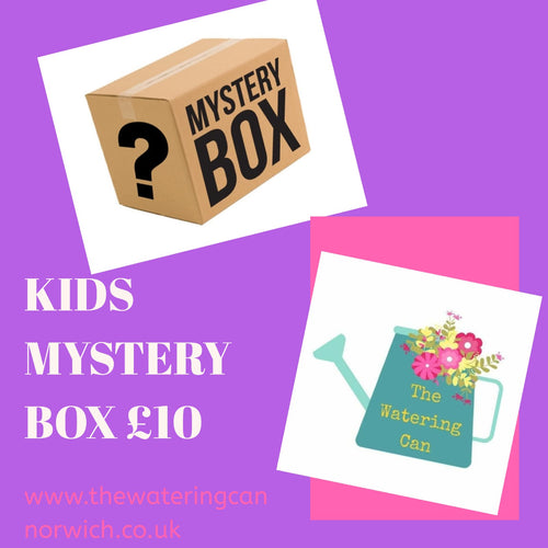 Kids Mystery Box