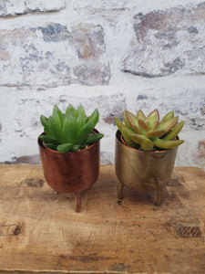 Dobra Rose gold metal indoor plant pot