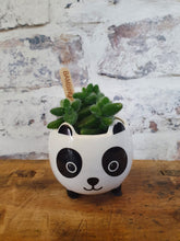 Load image into Gallery viewer, Sass and Belle Mini Panda planter/Plant Pot