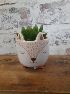 Sass and Belle Mini Woodland Fox Plant Pot