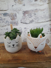 Load image into Gallery viewer, Sass and Belle Cats Whiskers Mini Plant Pot