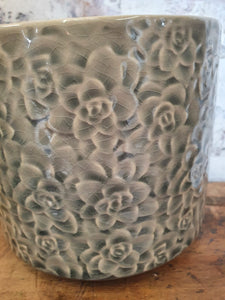 Gisela Graham grey succulents ceramic pot cover/plant pot