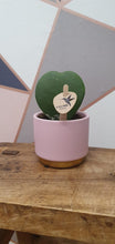 Load image into Gallery viewer, Mini pink and gold indoor ceramic pot 6cm