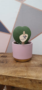Mini pink and gold indoor ceramic pot 6cm