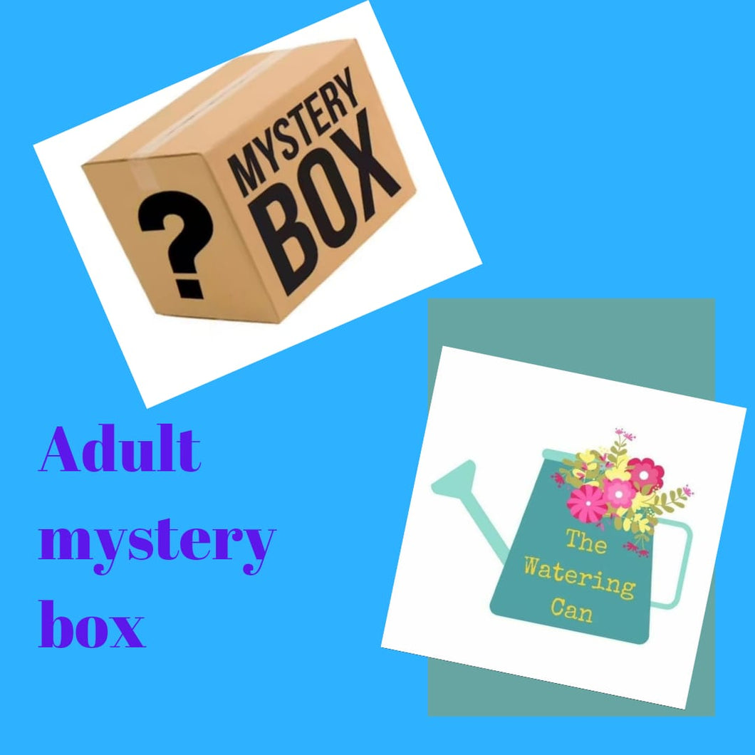 Adult Mystery Box