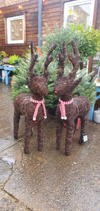 Large light up Christmas Reindeer *CLICK AND COLLECT ONLY