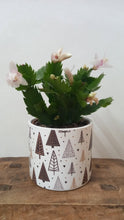 Load image into Gallery viewer, Small Christmas Tree indoor plant pot