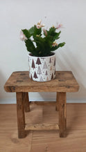 Load image into Gallery viewer, Small Christmas Tree indoor plant pot