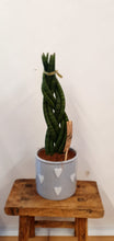 Load image into Gallery viewer, Hearts Ceramic grey indoor plant pot
