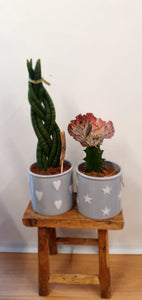 Stars Ceramic grey indoor plant pot