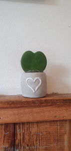 Mini heart cement Plant pot