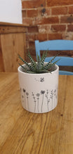 Load image into Gallery viewer, Bumbling Bee indoor plant pot