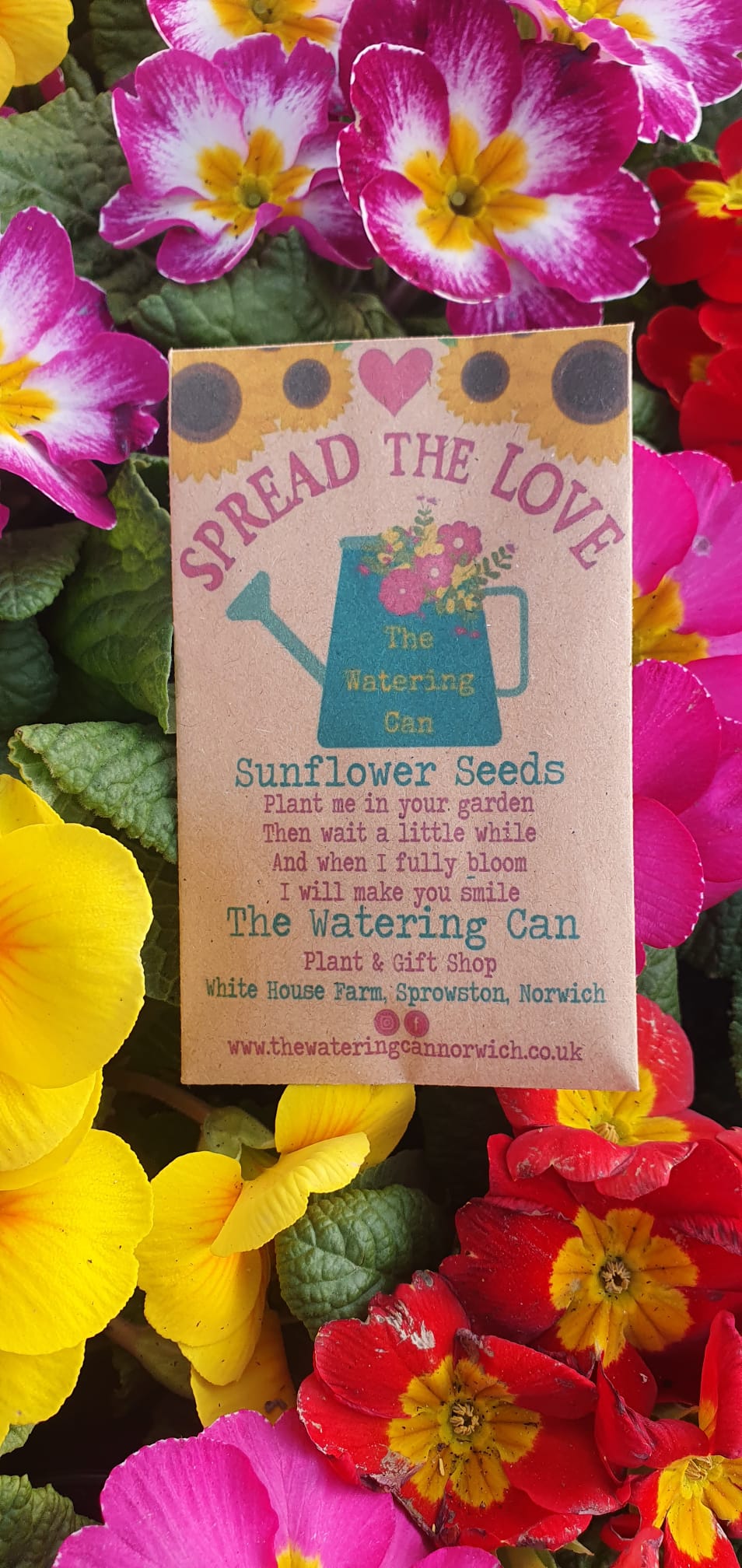 Spread the love  Sunflower Seeds - ideal for wedding favours!