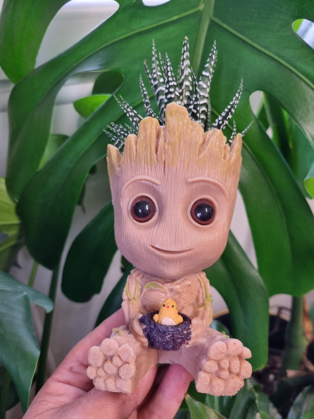 Marvel Guardians of the galaxy Baby Groot Plant Pot Holding Chick - With Zebra Haworthia