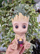 Load image into Gallery viewer, Marvel Guardians of the galaxy Baby Groot Plant Pot Holding Chick - With Zebra Haworthia