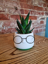 Load image into Gallery viewer, Nerd with glasses indoor plant pot
