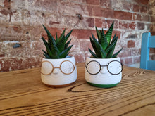 Load image into Gallery viewer, Nerd with glasses indoor plant pot